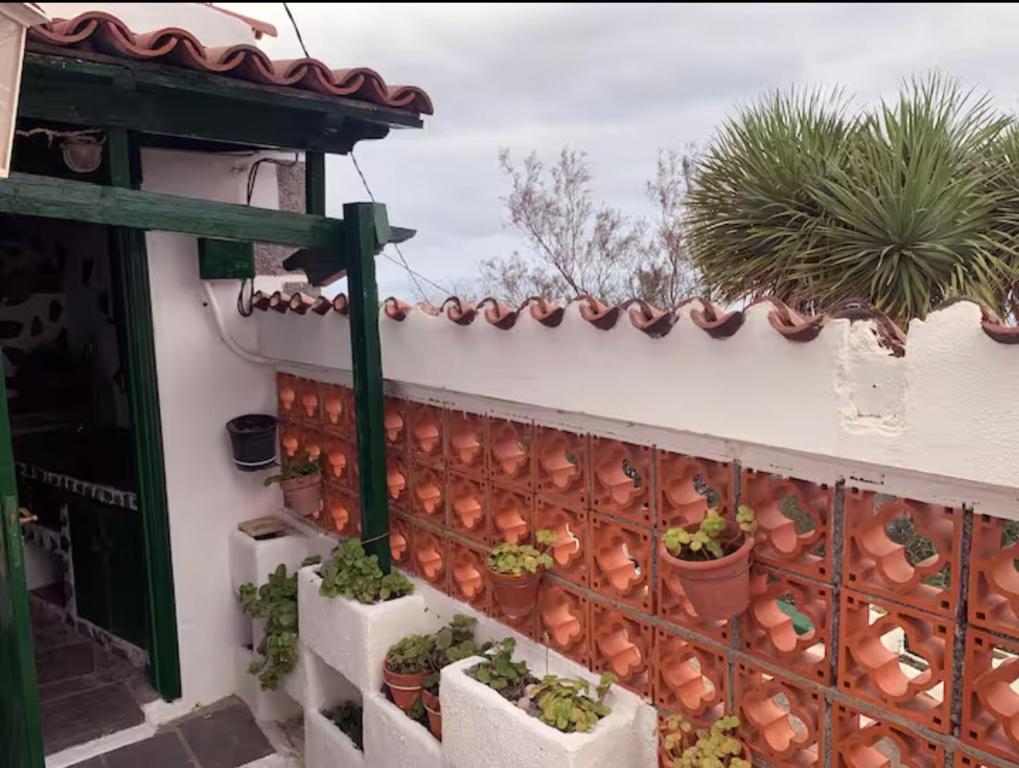 CASA RURAL CANARIA HOMBRE DE PALO - 4