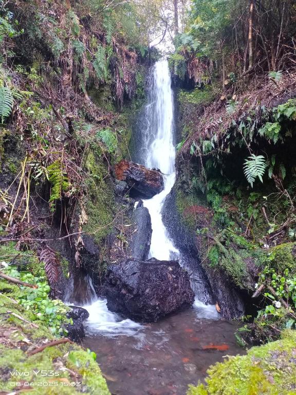 Entre saltos y termas - 5