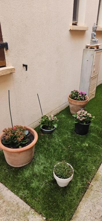 residence eureka T2 proche du camp - 4