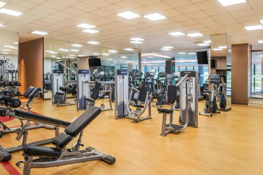 Gimnasio