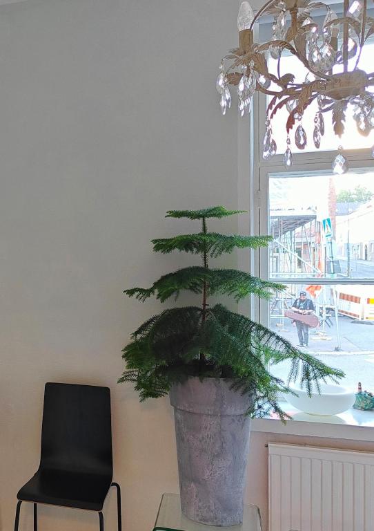 Charming studio in the French Quarter of Tampere, Tampere