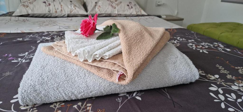 Apartmani Pejovic - 2