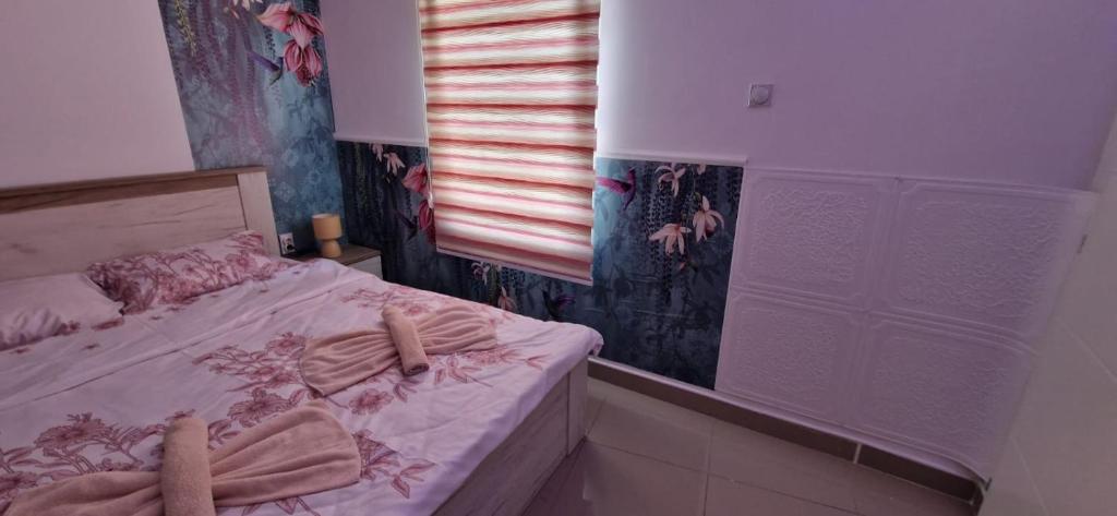 Apartmani Pejovic - 3