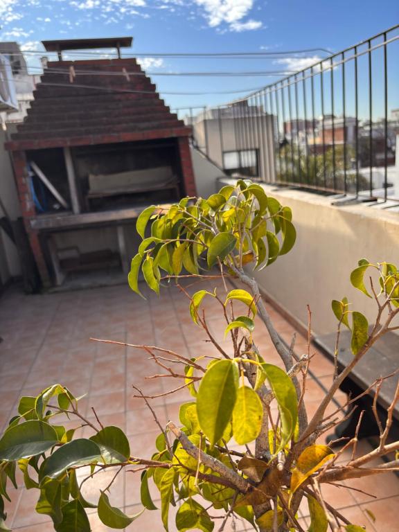 Baires Condo - 5