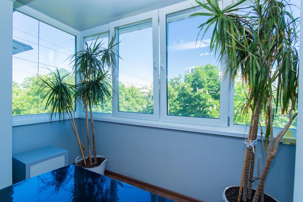 Seven Apartments 66, Vyšneve