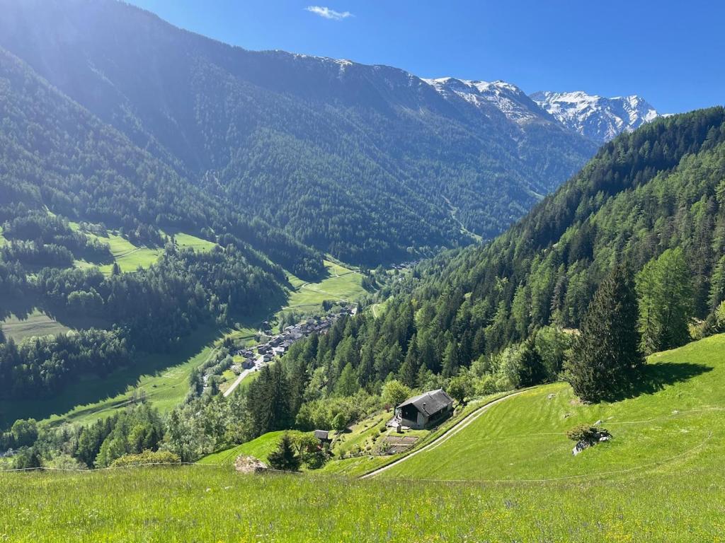 Grand Chalet du Mayen de Planraveire - 1