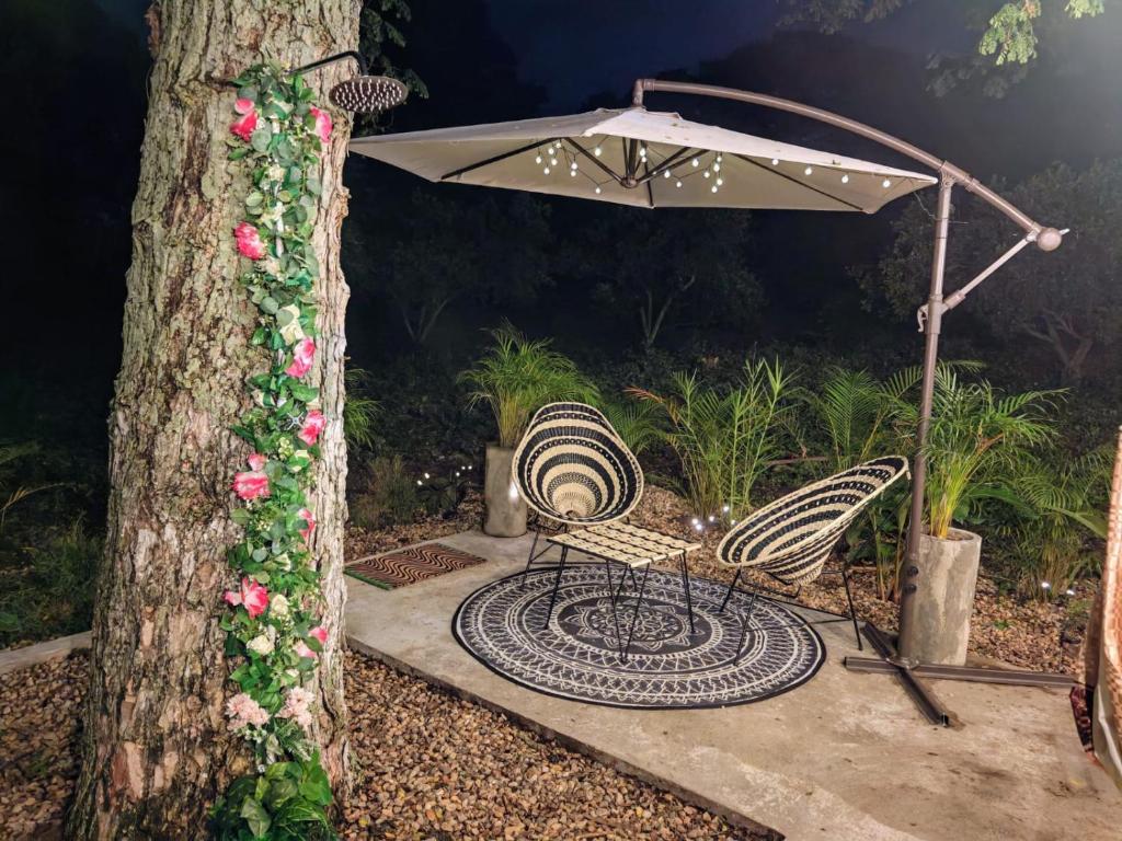 Novaglamp Alma, amor y bosque - 2