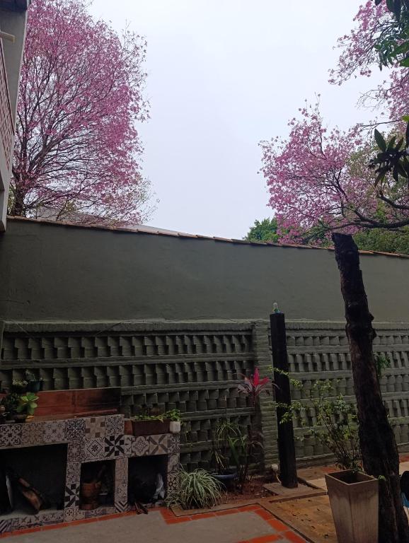 Taguato B&B - 3