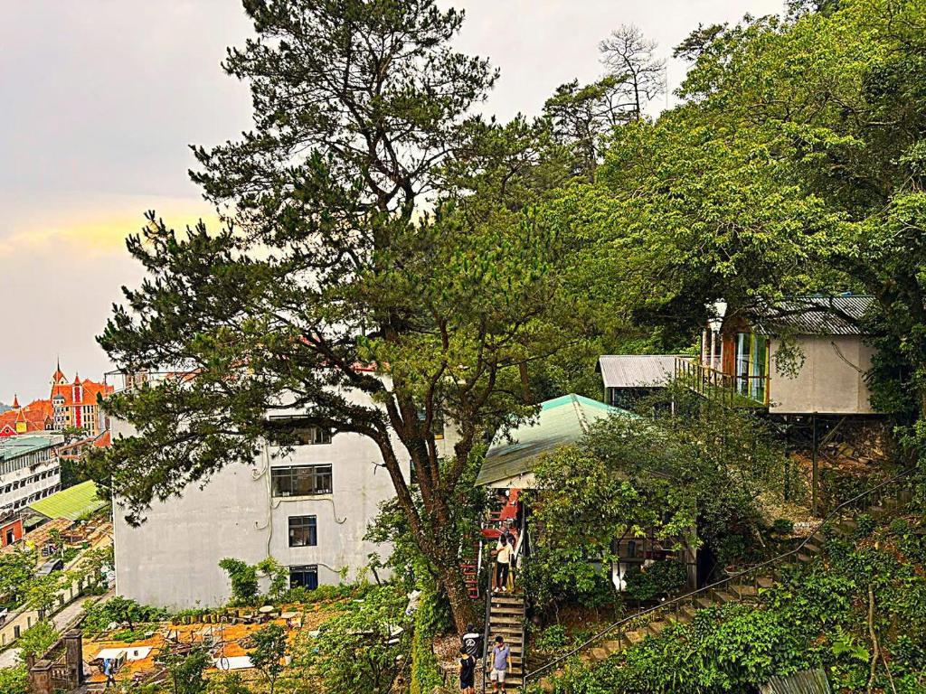 Surrounding environment, Chân Mây Hotel Tam Đảo in Tam Dao (Vinh Phuc)