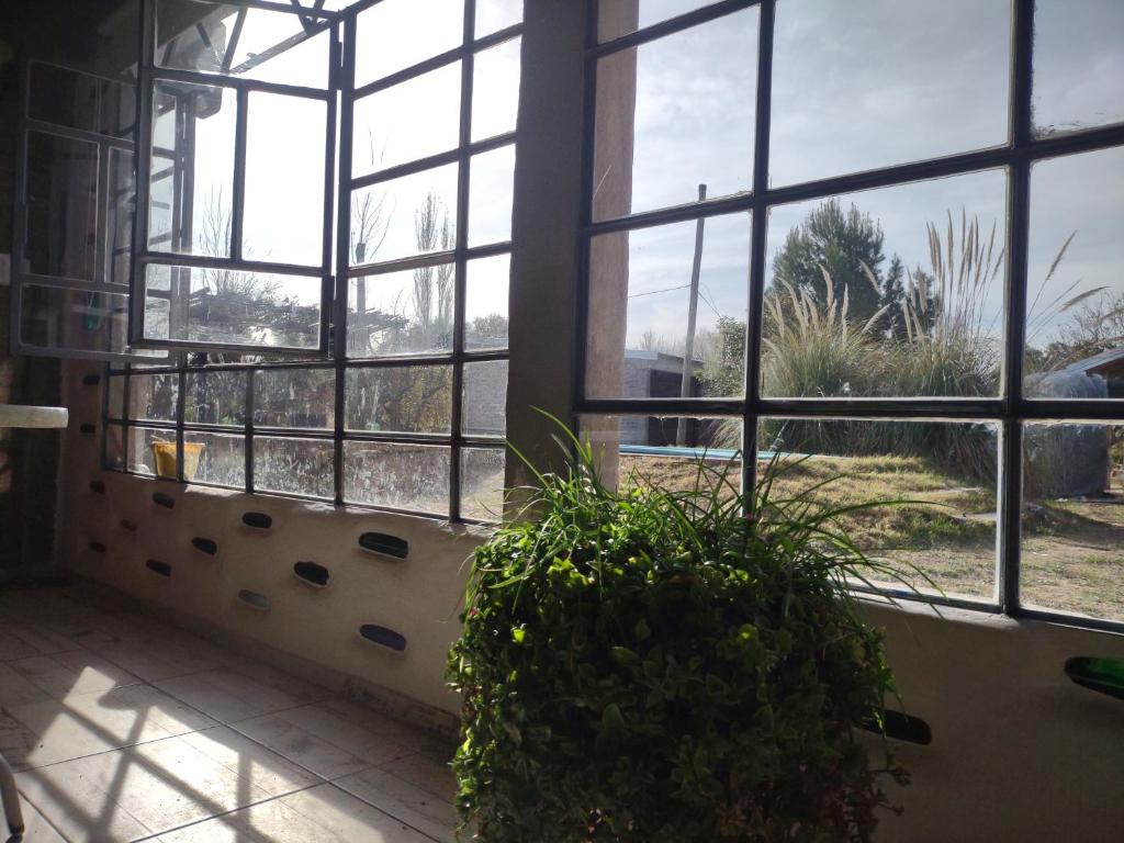 Dpto campestre - 5
