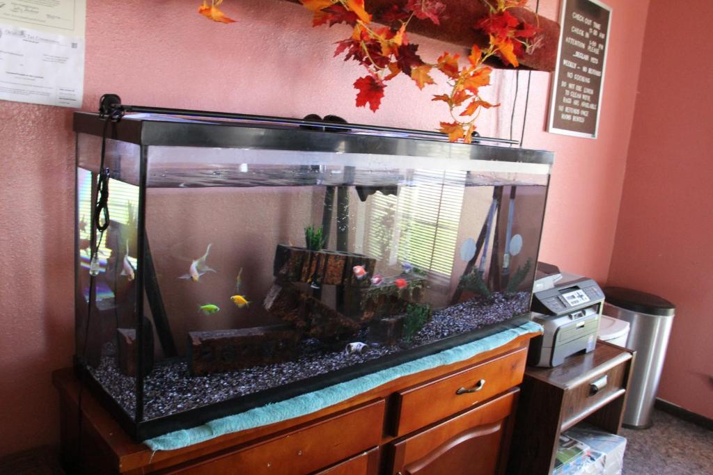 Lodge USA Motel, Guymon (OK) 2024 Updated Prices, Deals