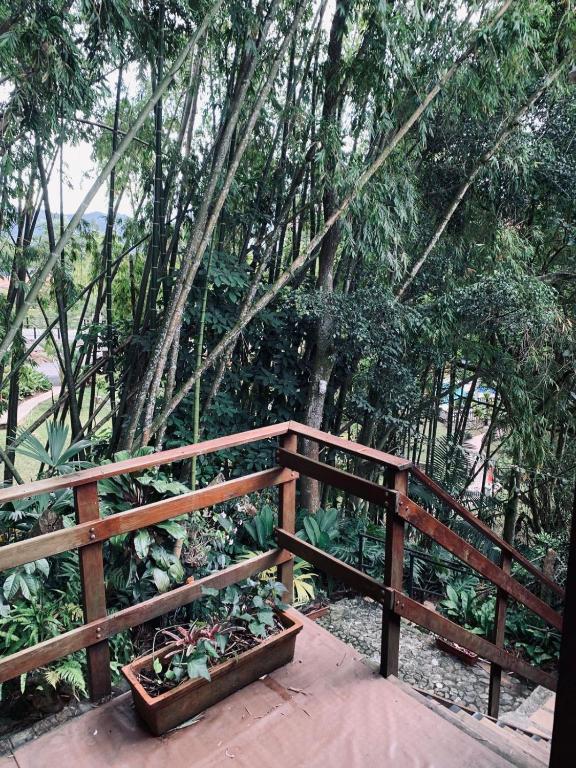 Aparta Hotel Natural Poblado San Lucas para 5H 114 - 4