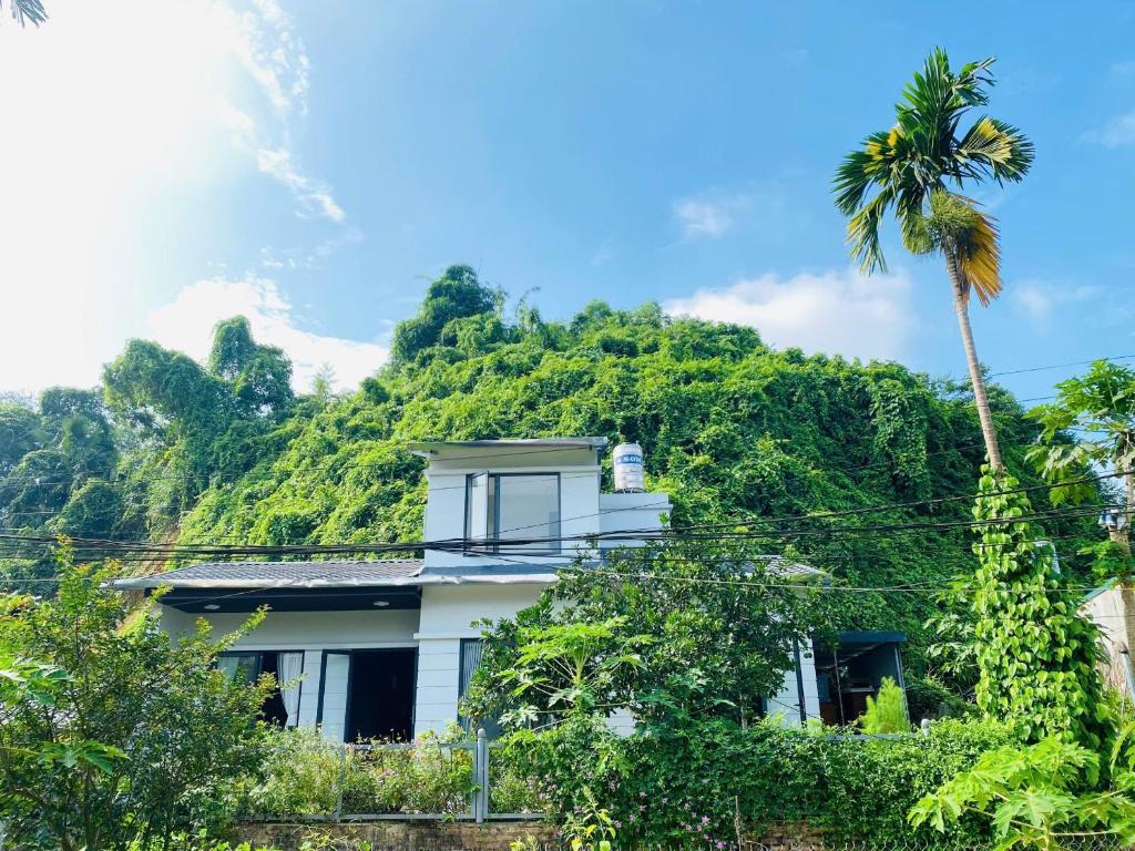 Sunshine Home - Nhà của Nắng, Yen Bai