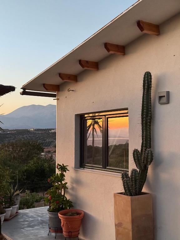 Komos view, Pitsidia