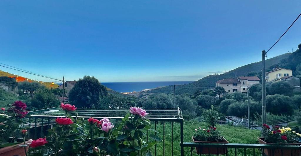 Il Poggio nel verde - 3