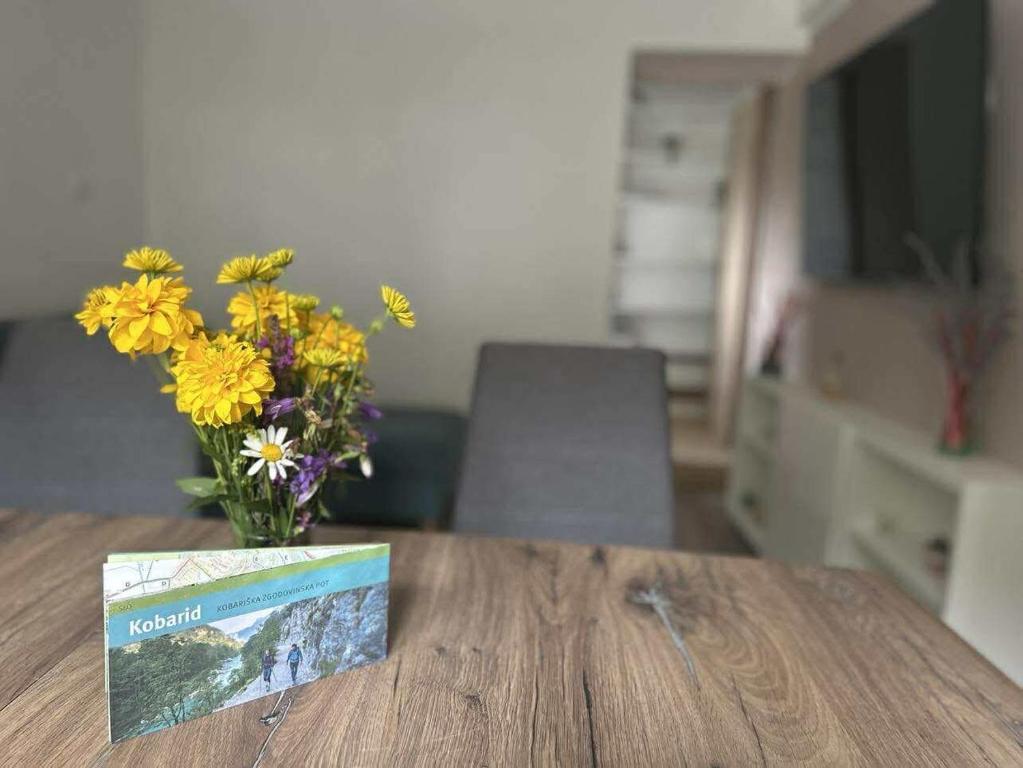 Apartment Tonc, Kobarid