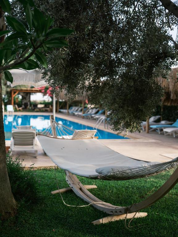 スイミングプール