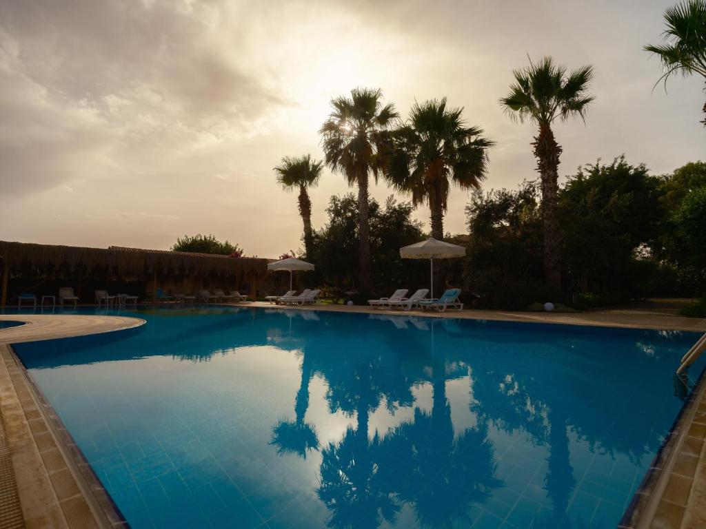 スイミングプール