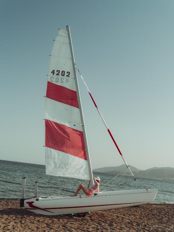 アクティビティ