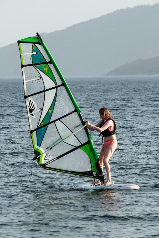 アクティビティ