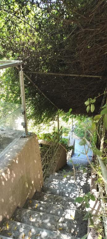 Appartement terrasse jacuzzi - 2