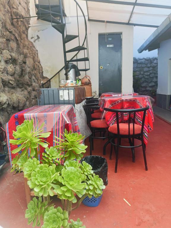7 Borreguitos GUESTHOUSE - 3