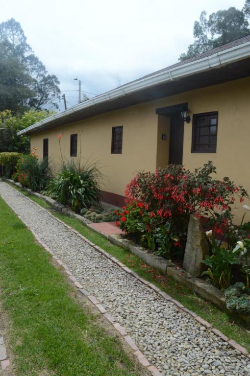 Mi casa amarilla - 2