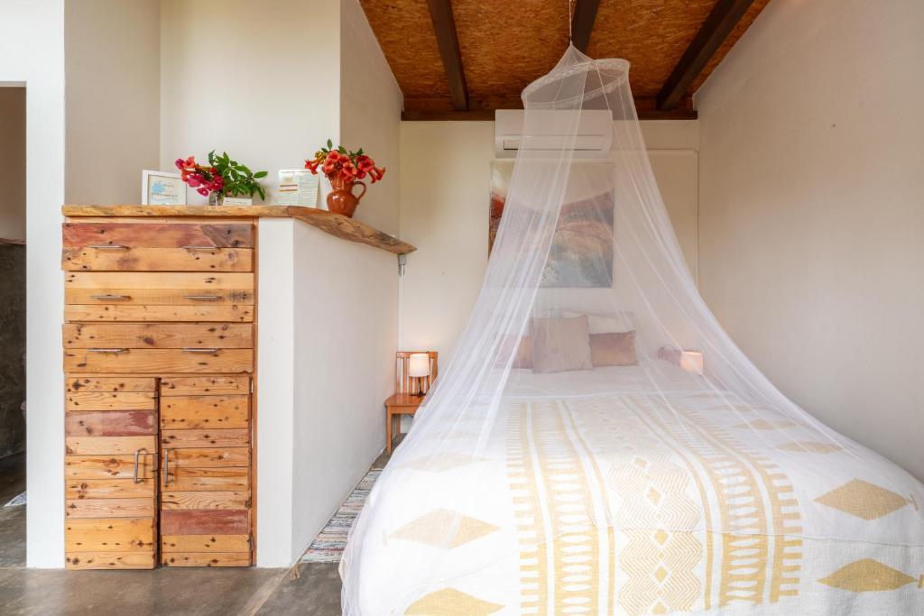 Amrita Shala, Colares