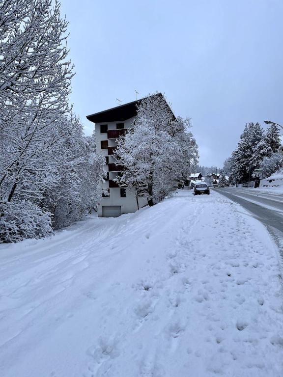Appart 4-6 pers, rénové, proche pistes - Serre Chevalier - 4