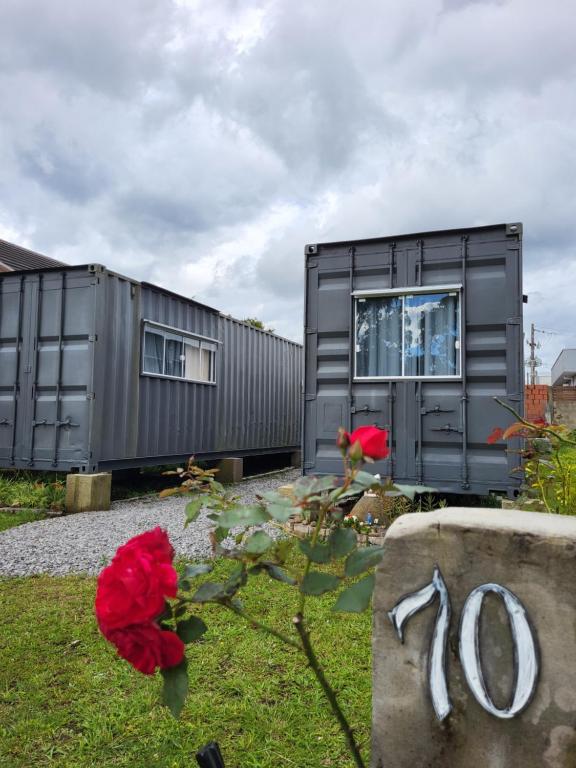 Canela Container, Canela