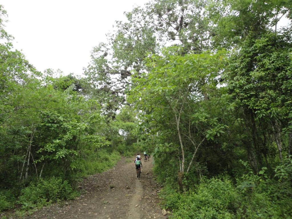 Camping El Cedro - 4