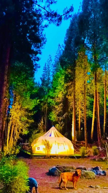 El Sendero Glamping - 3