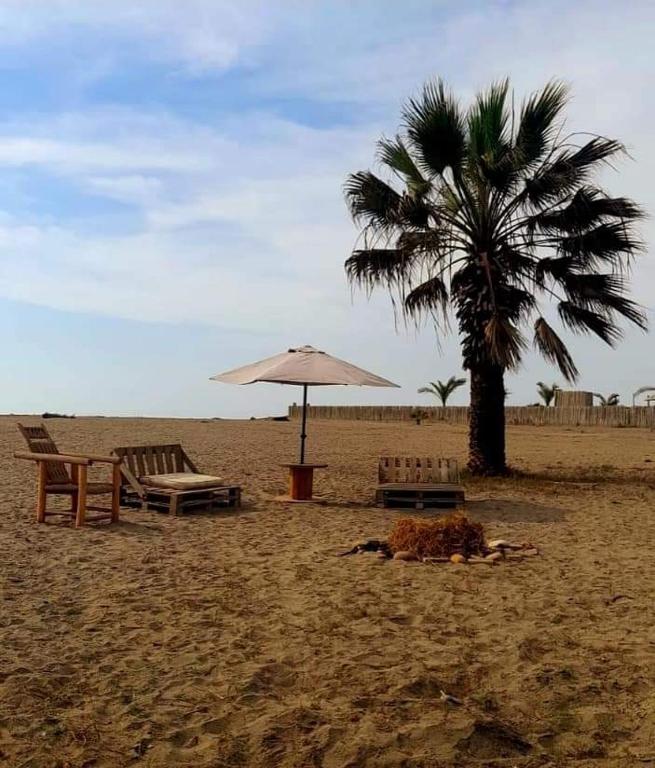 Beach Rooms Chincha Hospedaje Ecológico - 2