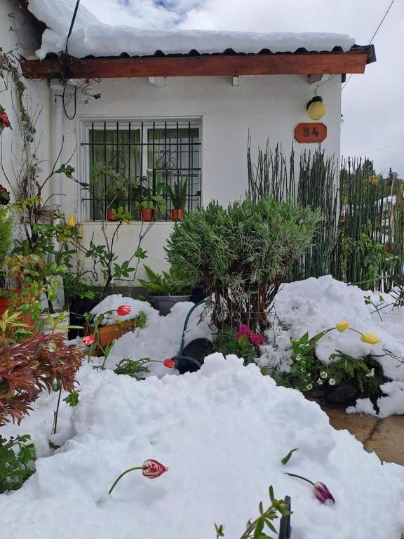 Cálido Sur, San Carlos de Bariloche