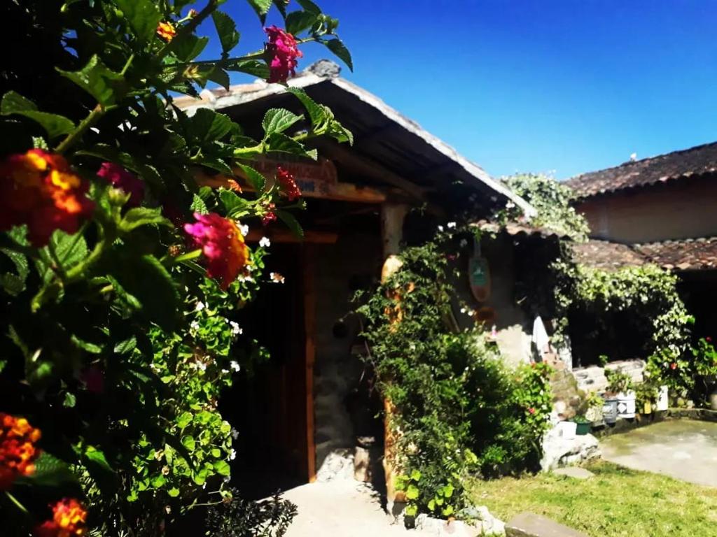 Karanki Indigenous - 2