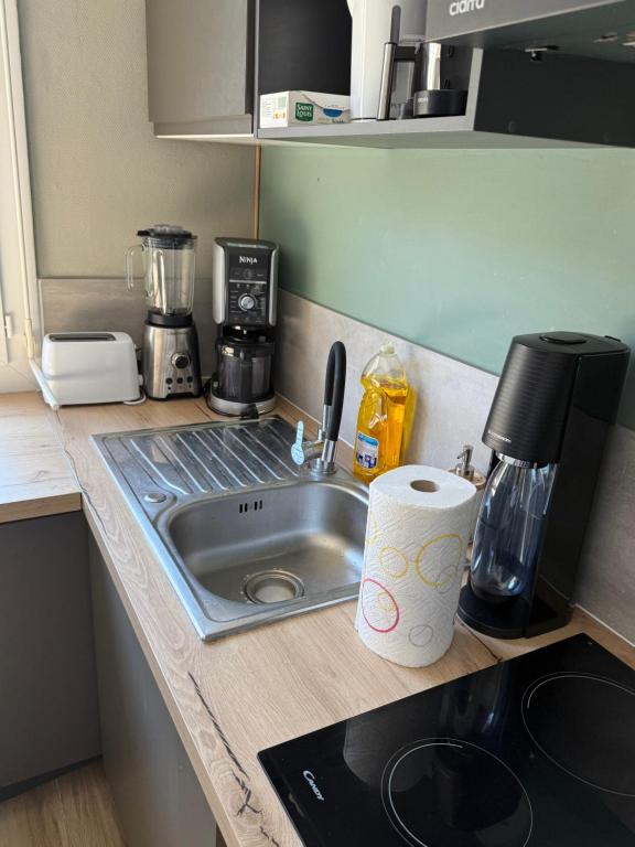 Appartement en centre-ville parking privé - 5
