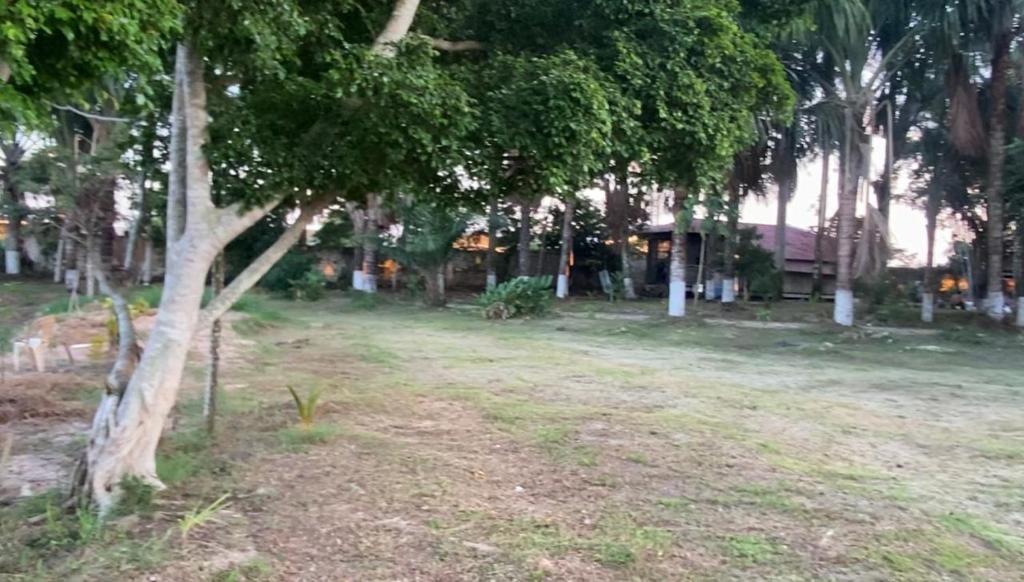 Retazos lodge Iquitos - 5