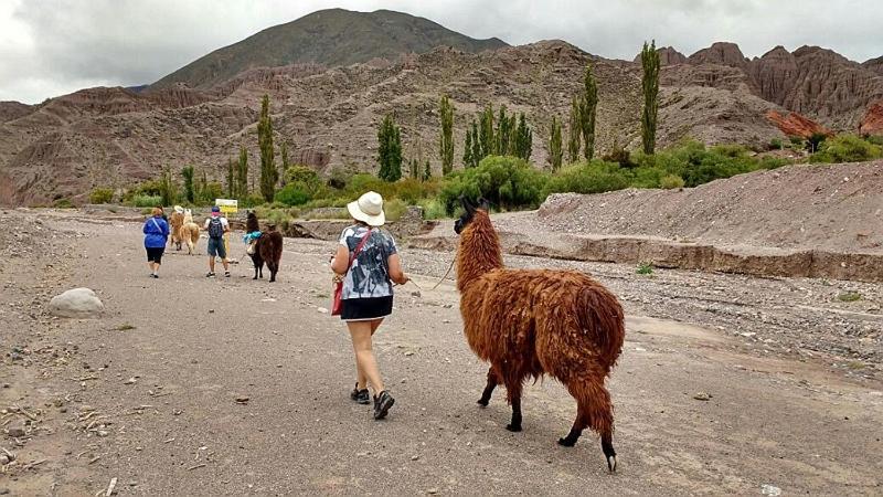 la casa de las Llamas - 4