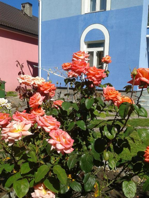 Surrounding environment