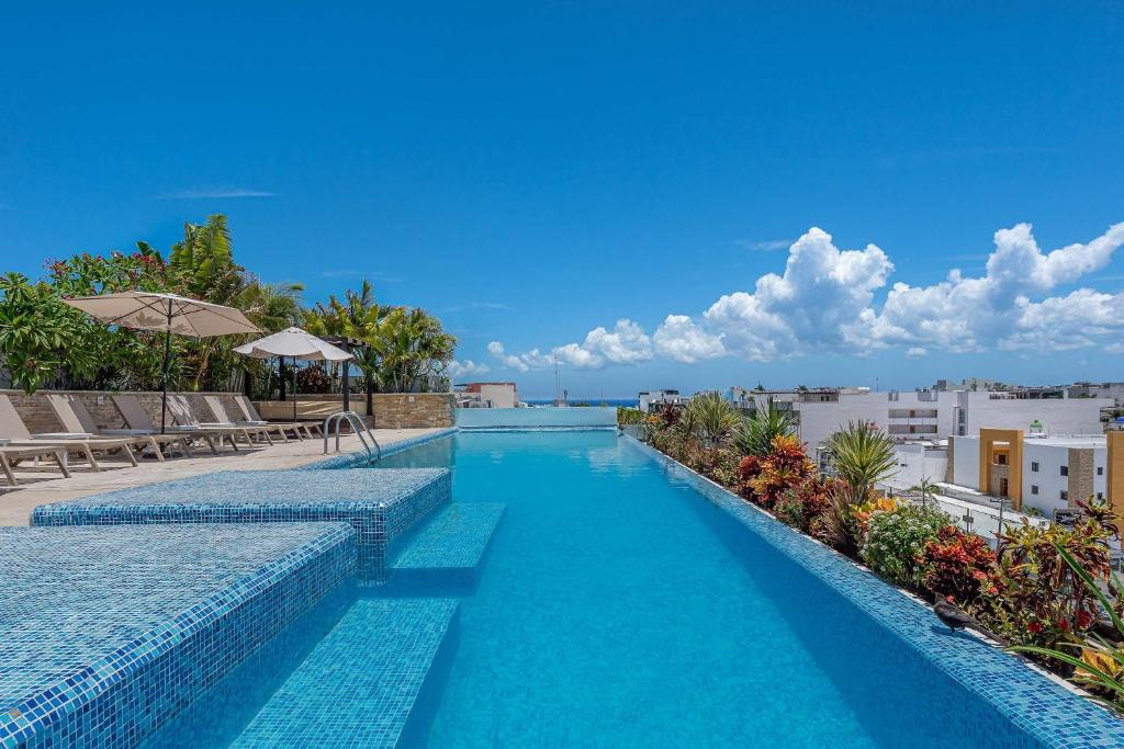 Perfect Studio Steps from 5th Avenue and the Beach - 5