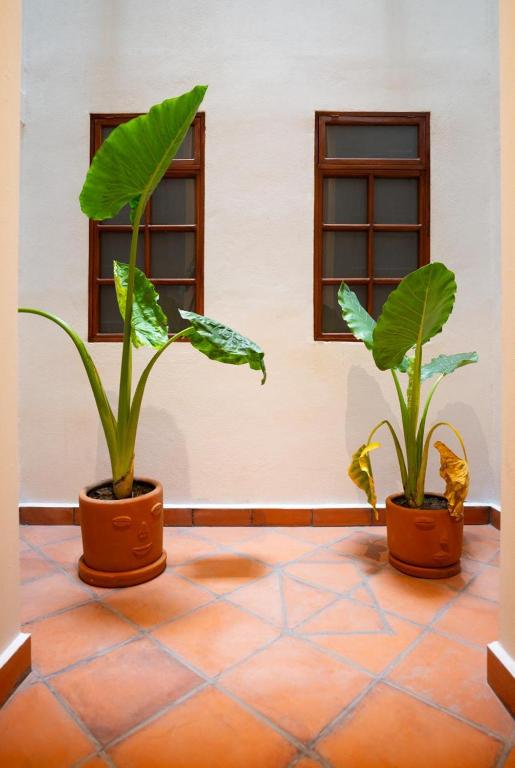 DH3 VIP & Luxurious 2beds APT in Historic Center - 2