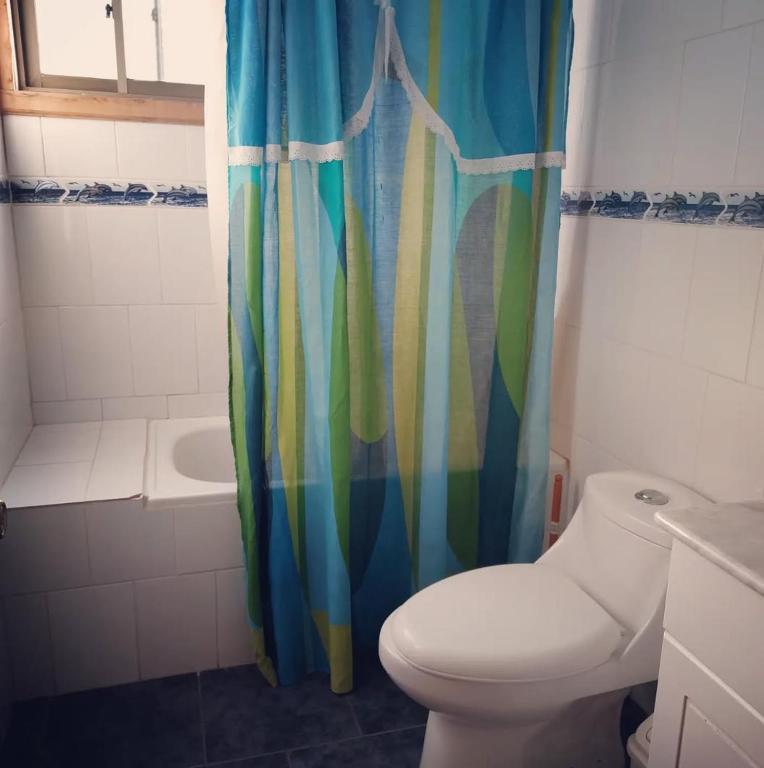 Cabañas los Cisnes de Cucao - 4