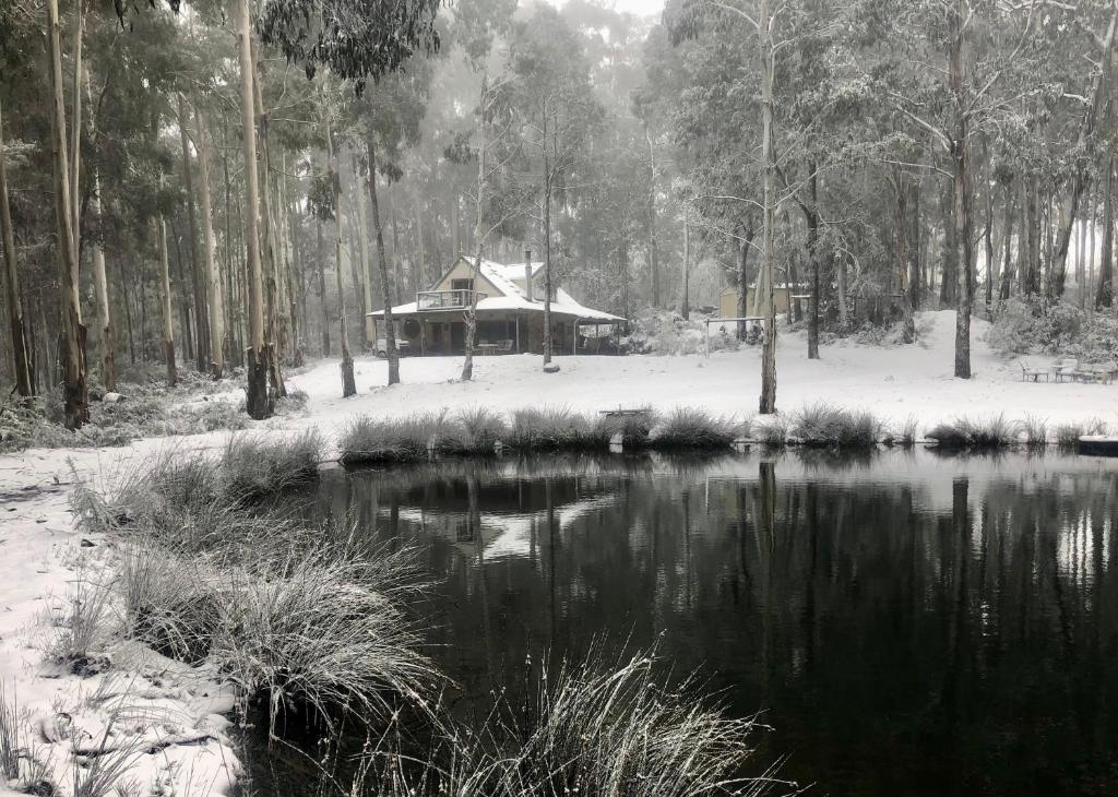 Bunjil Hideaway, Tolmie