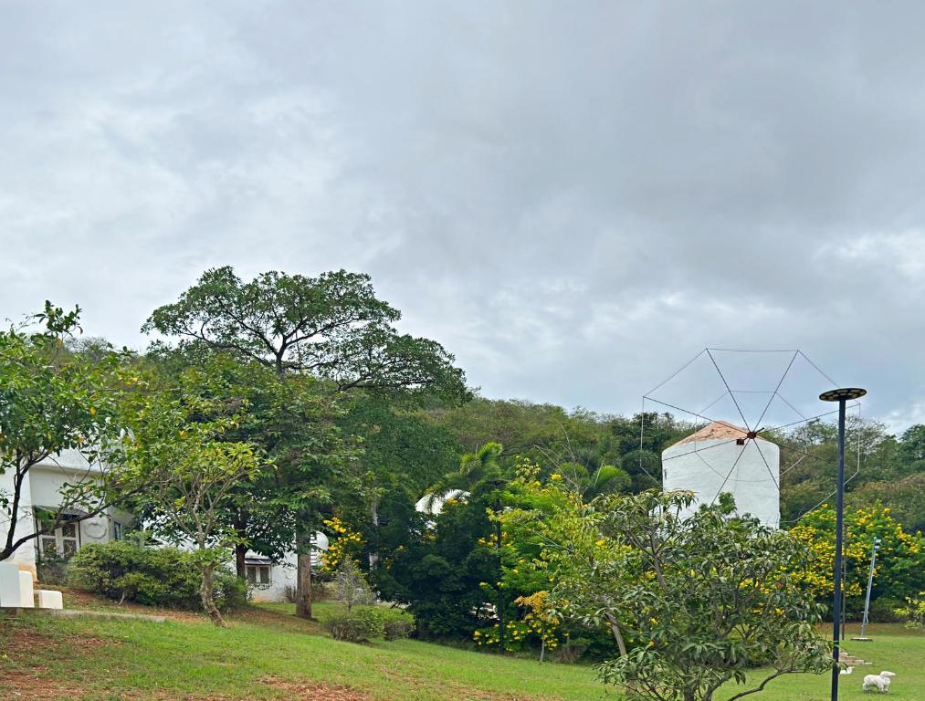 Surrounding environment
