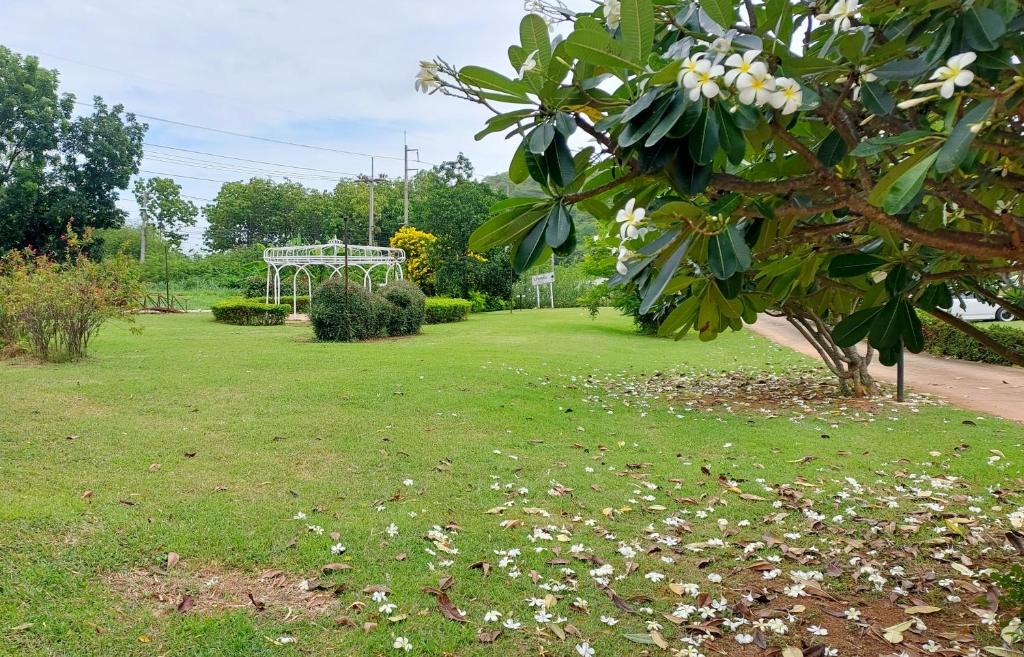 Surrounding environment