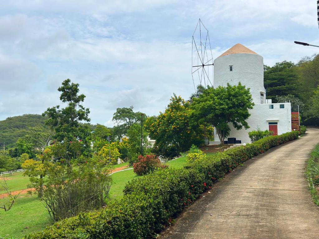 View