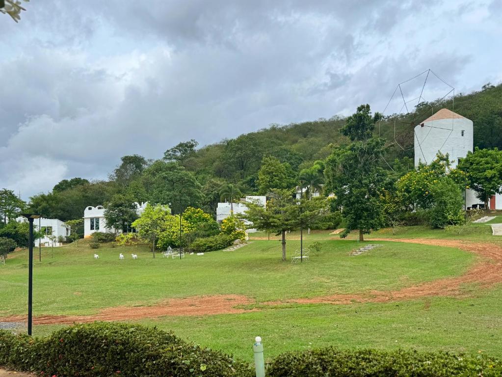 View