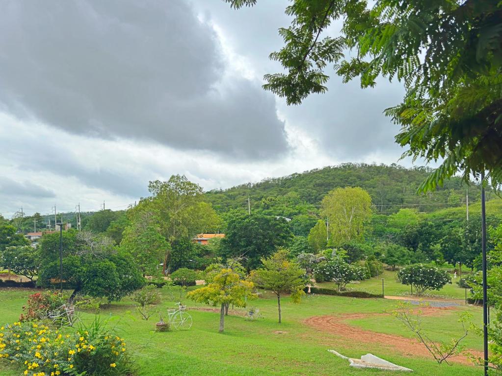Surrounding environment