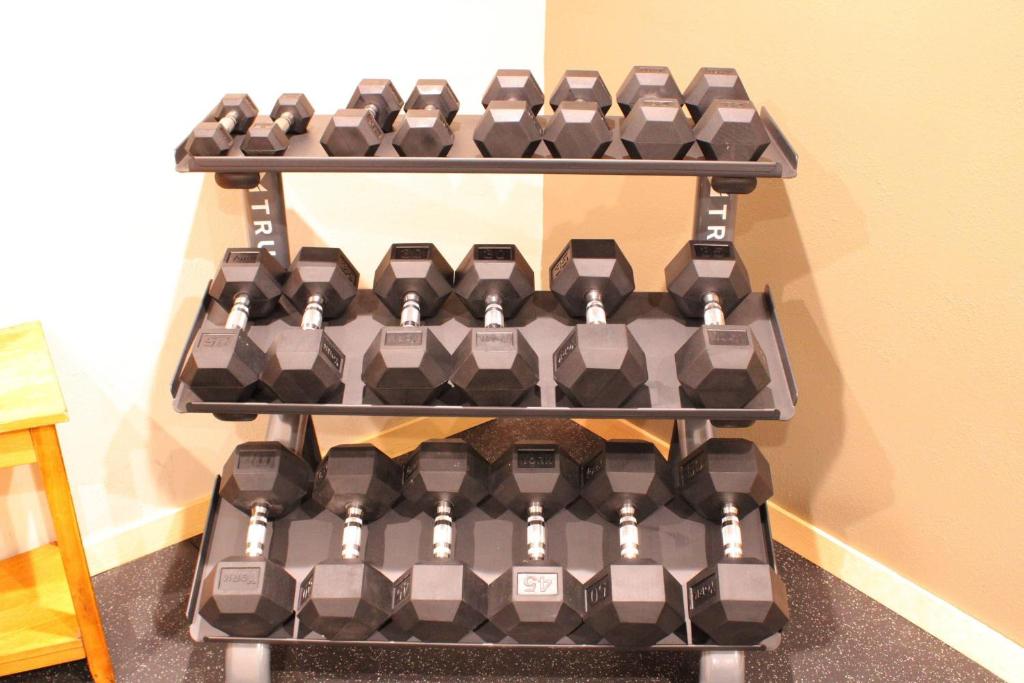 フィットネス/ジム