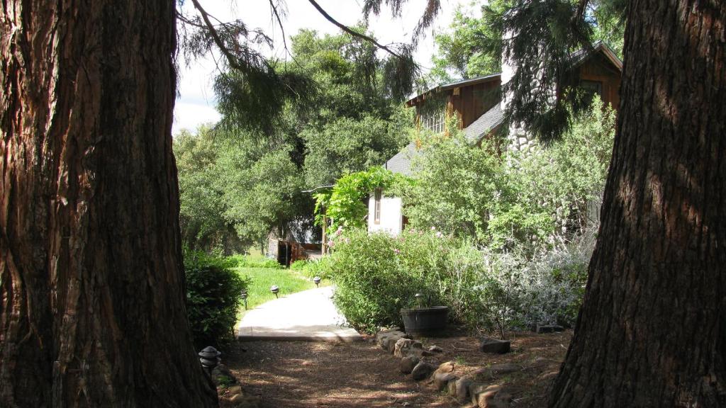 Yosemite Rose Bed and Breakfast photo